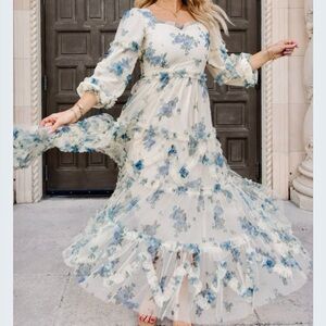 Ivy City Shear Chiffon Floral Ruffle Long Sleeve Maxi Dress